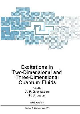 Excitations in Two-Dimensional and Three-Dimensional Quantum Fluids 1