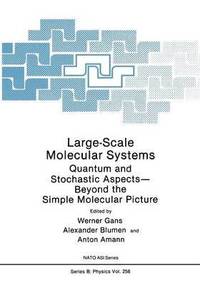 bokomslag Large-Scale Molecular Systems