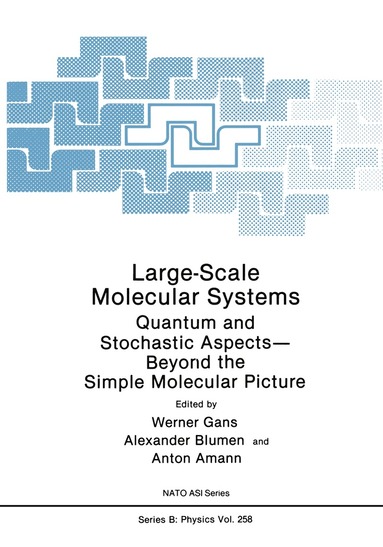Werner Gans, Alexander Blumen, Anton Amann - Large-Scale Molecular Systems, Häftad