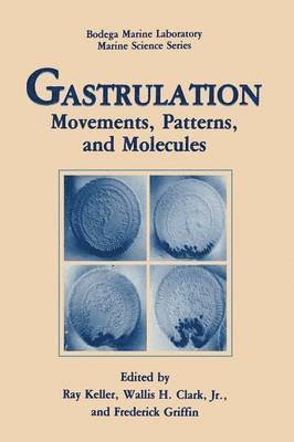 Gastrulation 1