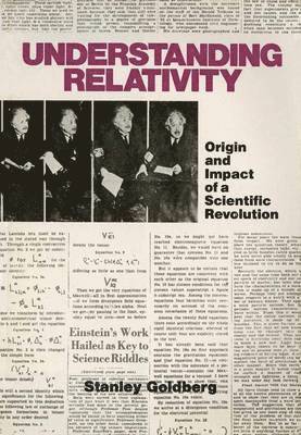 bokomslag Understanding Relativity