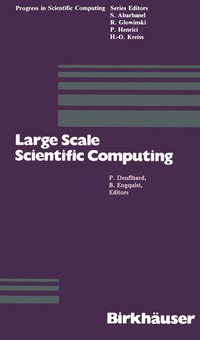 bokomslag Large Scale Scientific Computing