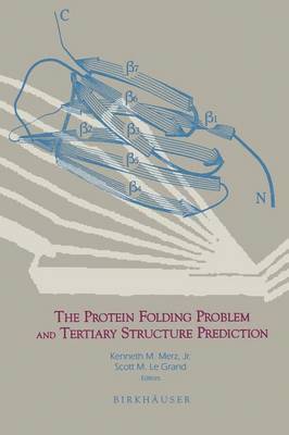 bokomslag Protein Folding Problem and Tertiary Structure Prediction
