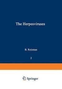 bokomslag The Herpesviruses