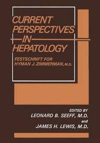 bokomslag Current Perspectives in Hepatology
