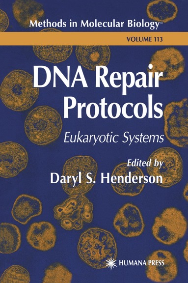 bokomslag DNA Repair Protocols