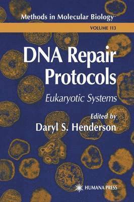 DNA Repair Protocols 1