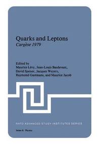 bokomslag Quarks and Leptons