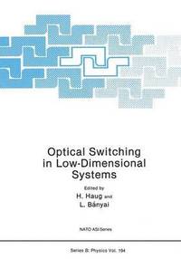 bokomslag Optical Switching in Low-Dimensional Systems