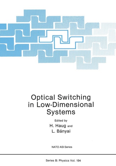 bokomslag Optical Switching in Low-Dimensional Systems