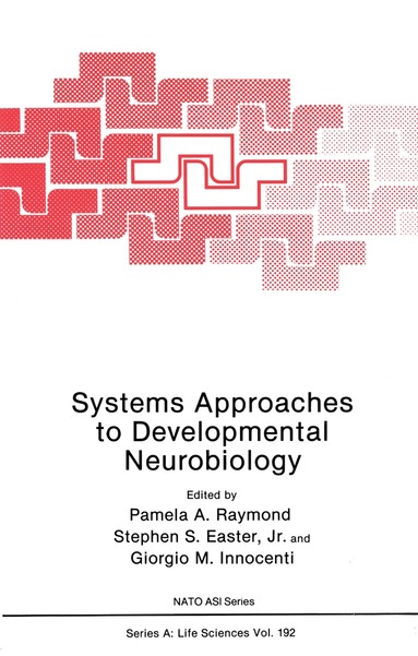 Pamela A. Raymond, Stephen S. Easter Jr., Giorgio M. Innocenti - Systems Approaches to Developmental Neurobiology, Häftad