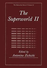 bokomslag The Superworld II