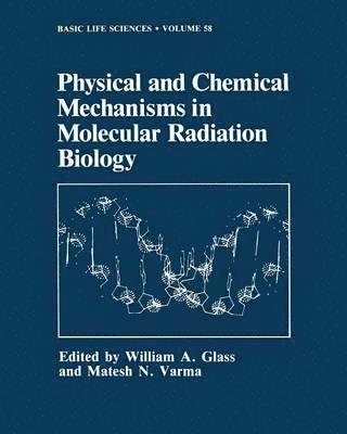 William A. Glass, Matesh N. Varma - Physical and Chemical Mechanisms in Molecular Radiation Biology, Häftad
