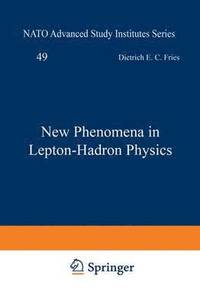 bokomslag New Phenomena in Lepton-Hadron Physics