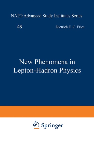 bokomslag New Phenomena in Lepton-Hadron Physics