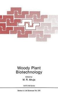 bokomslag Woody Plant Biotechnology
