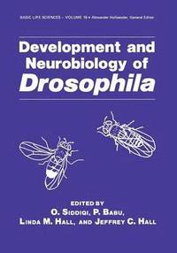 bokomslag Development and Neurobiology of Drosophila