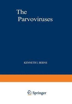 bokomslag Parvoviruses