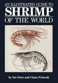 bokomslag An Illustrated Guide to Shrimp of the World