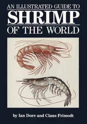 bokomslag Illustrated Guide to Shrimp of the World