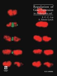 bokomslag Regulation of Gene Expression in Escherichia coli