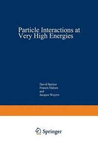 bokomslag Particle Interactions at Very High Energies