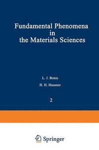 bokomslag Fundamental Phenomena in the Materials Sciences