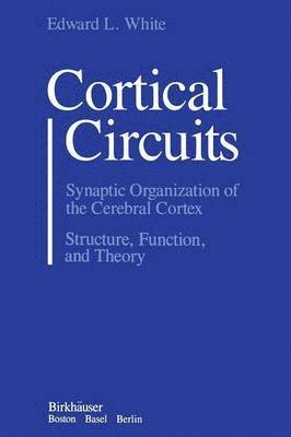Cortical Circuits 1