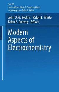 bokomslag Modern Aspects of Electrochemistry No. 20