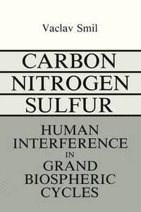 bokomslag Carbon-Nitrogen-Sulfur