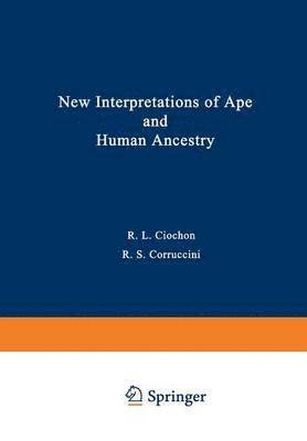 bokomslag New Interpretations of Ape and Human Ancestry