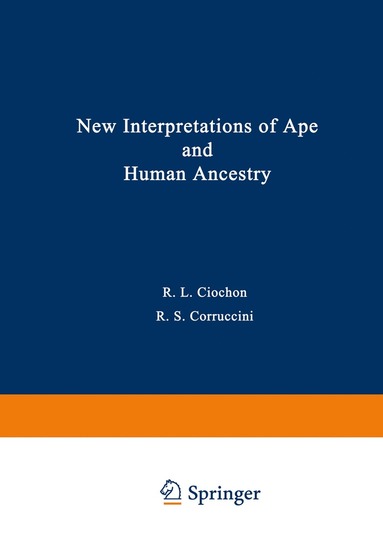 bokomslag New Interpretations of Ape and Human Ancestry