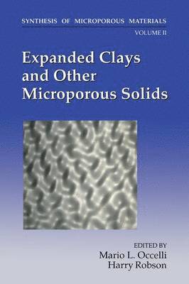 Expanded Clays and Other Microporous Solids 1