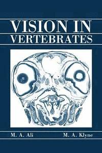 bokomslag Vision in Vertebrates