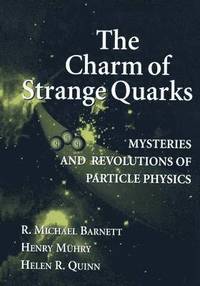 bokomslag The Charm of Strange Quarks