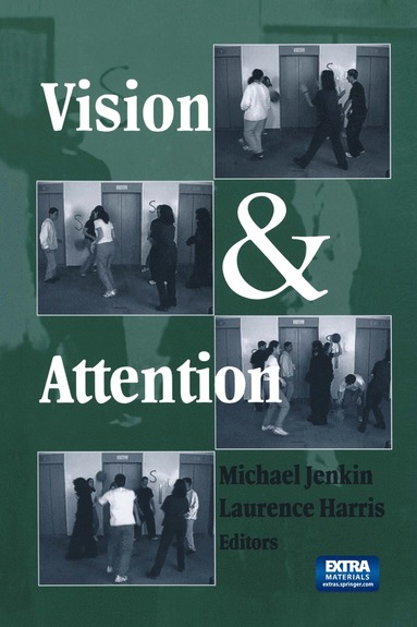 bokomslag Vision and Attention