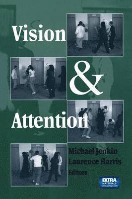 Vision and Attention 1