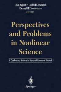 bokomslag Perspectives and Problems in Nonlinear Science