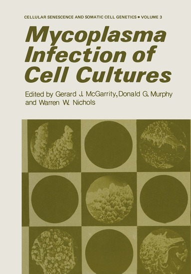 bokomslag Mycoplasma Infection of Cell Cultures