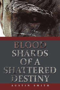 bokomslag Blood Shards of a Shattered Destiny