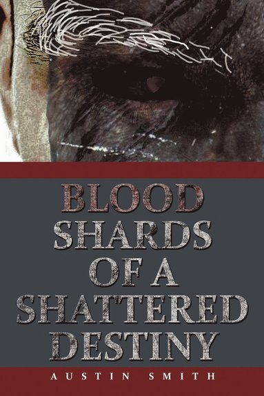 Austin Smith - Blood Shards of a Shattered Destiny, Häftad