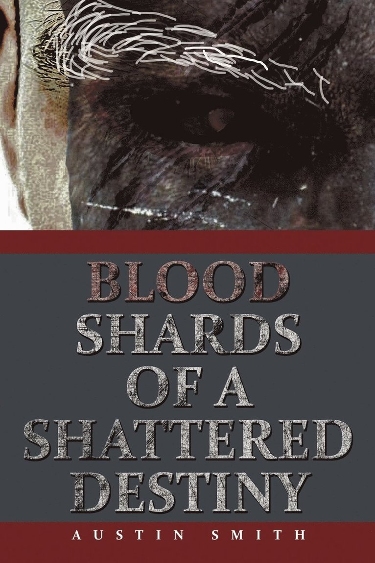 Blood Shards of a Shattered Destiny 1