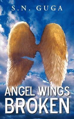 Angel Wings Broken 1