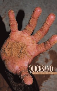 bokomslag Quicksand