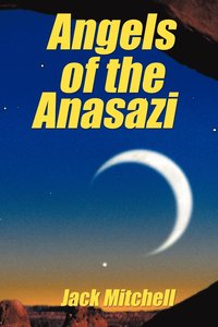 bokomslag Angels of the Anasazi