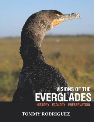 Visions of the Everglades 1