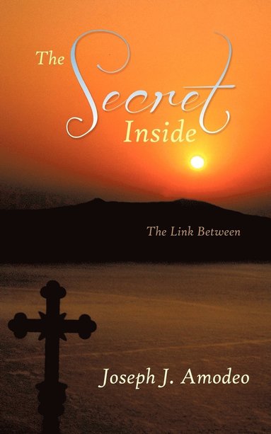 Joseph J. Amodeo - Secret Inside, Häftad