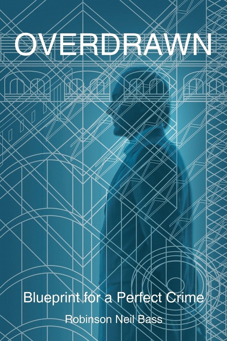 Robinson Neil Bass - Overdrawn, Häftad