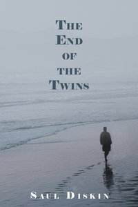 bokomslag The End of the Twins