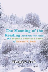 bokomslag The Meaning of the Reading Between the Lines